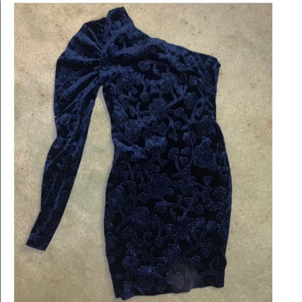 Blue Velvet Floral Dress